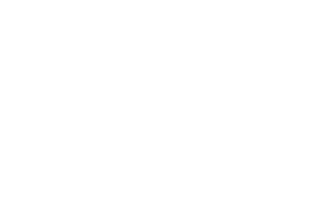 The Infected